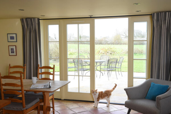 an open set of traditional french doors with ginger cat in front