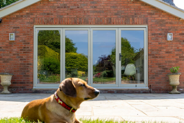 a set of bifold doors behind a dog